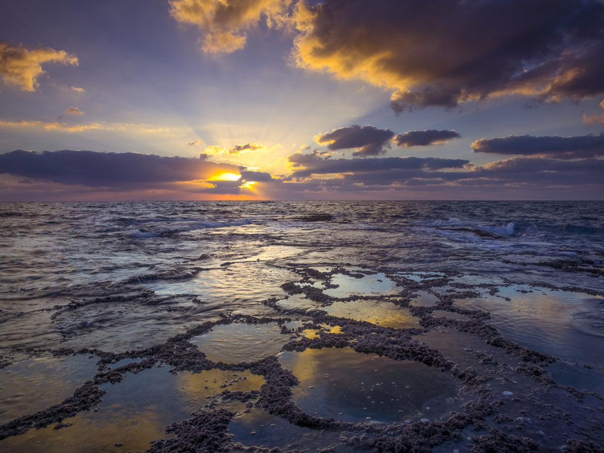 Golden Hour at the Shore Wall Mural in your room — zoomed