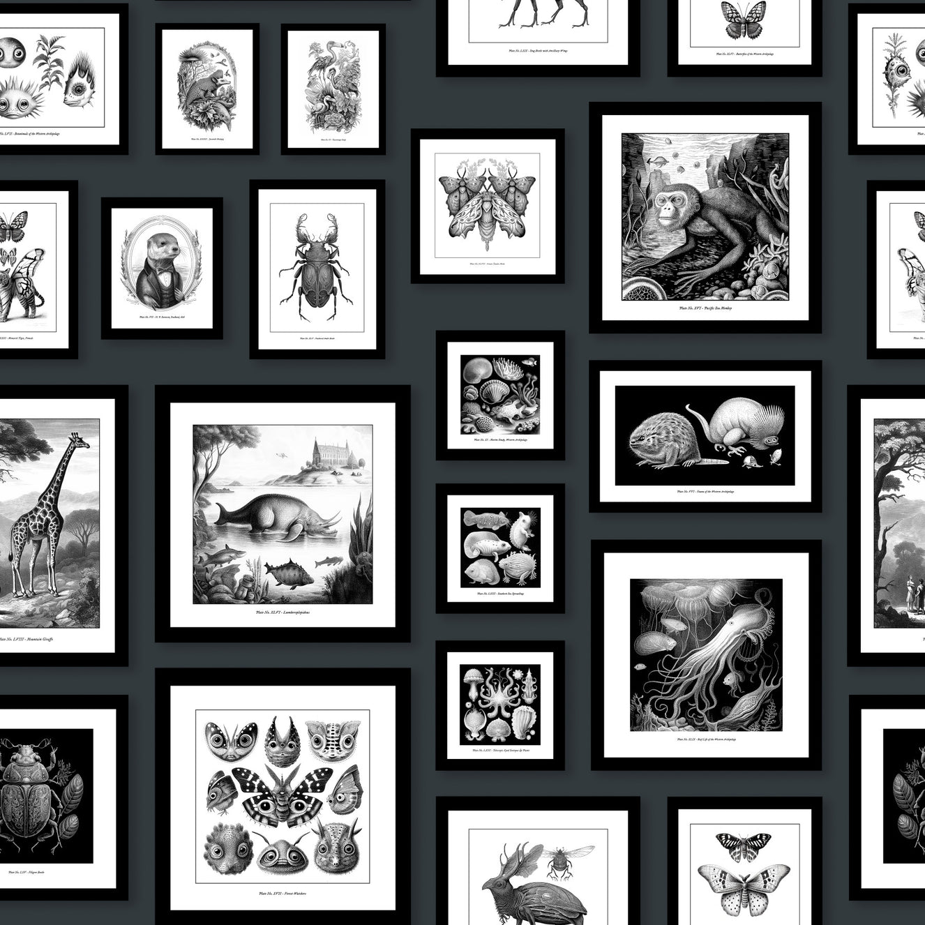 Fantastic Creatures - Anthracite Wallpaper⁠