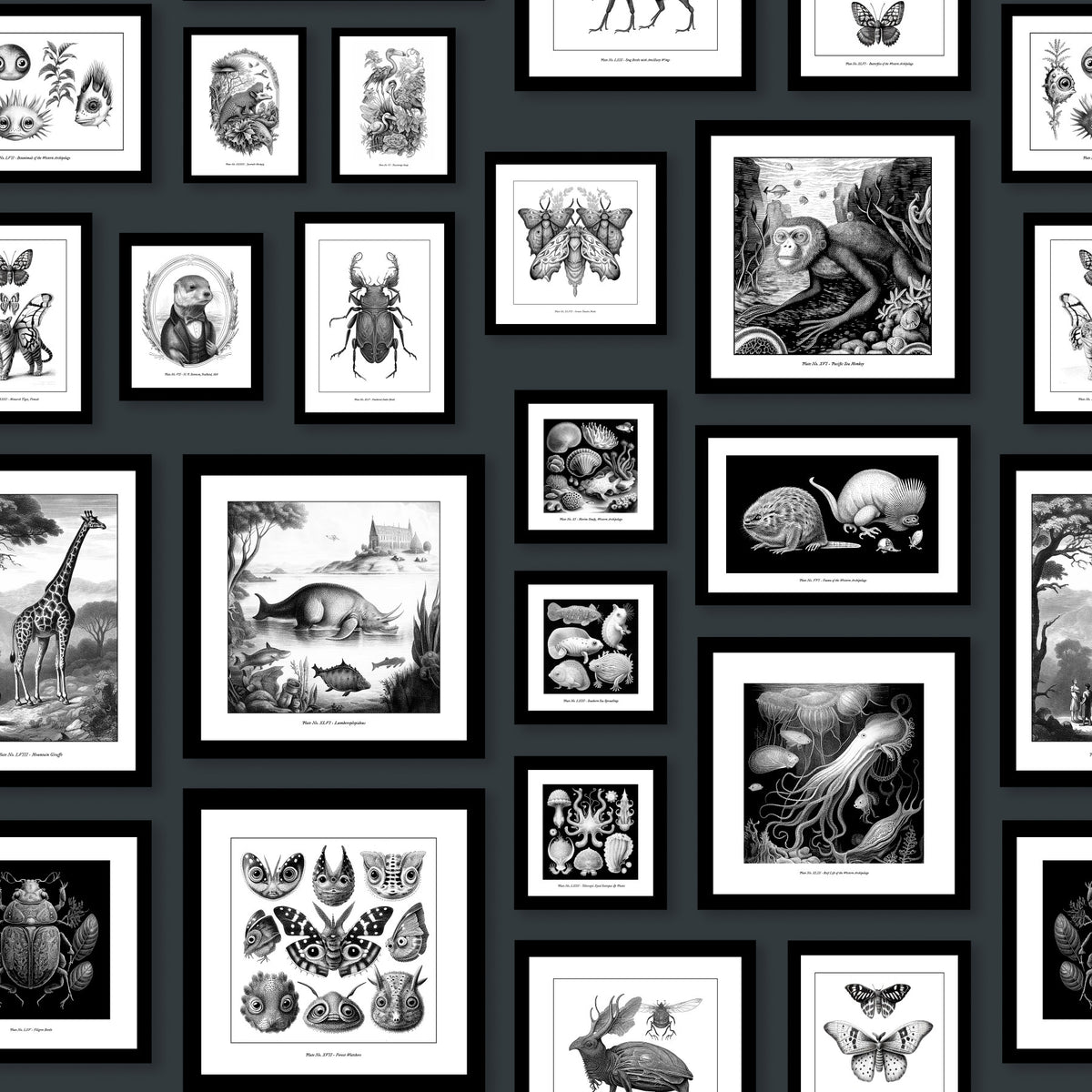 Fantastic Creatures - Anthracite Wallpaper⁠ in your room
