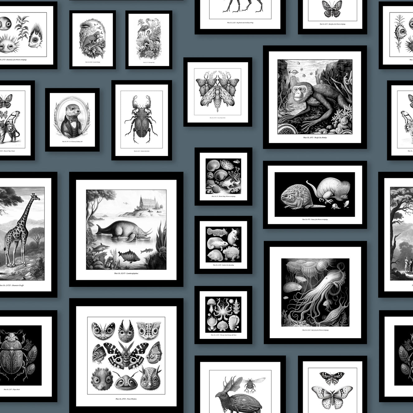 Fantastic Creatures - Storm Blue Wallpaper⁠