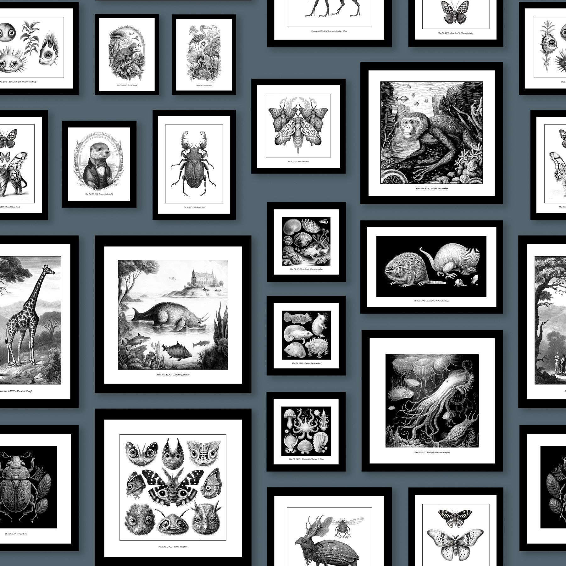 Fantastic Creatures - Storm Blue Wallpaper⁠