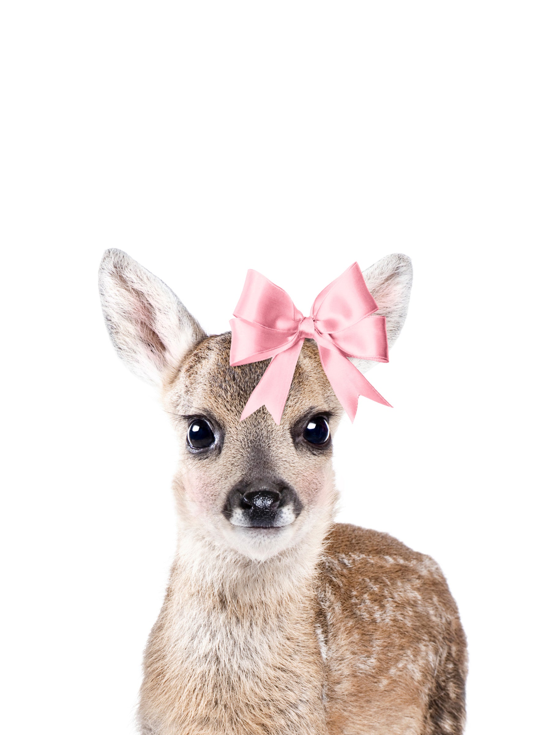 Deer With A Bow Wall Mural in your room — zoomed
