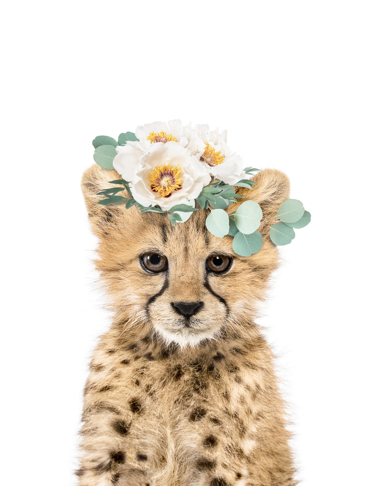 Floral Cheetah Cub Wall Mural in your room