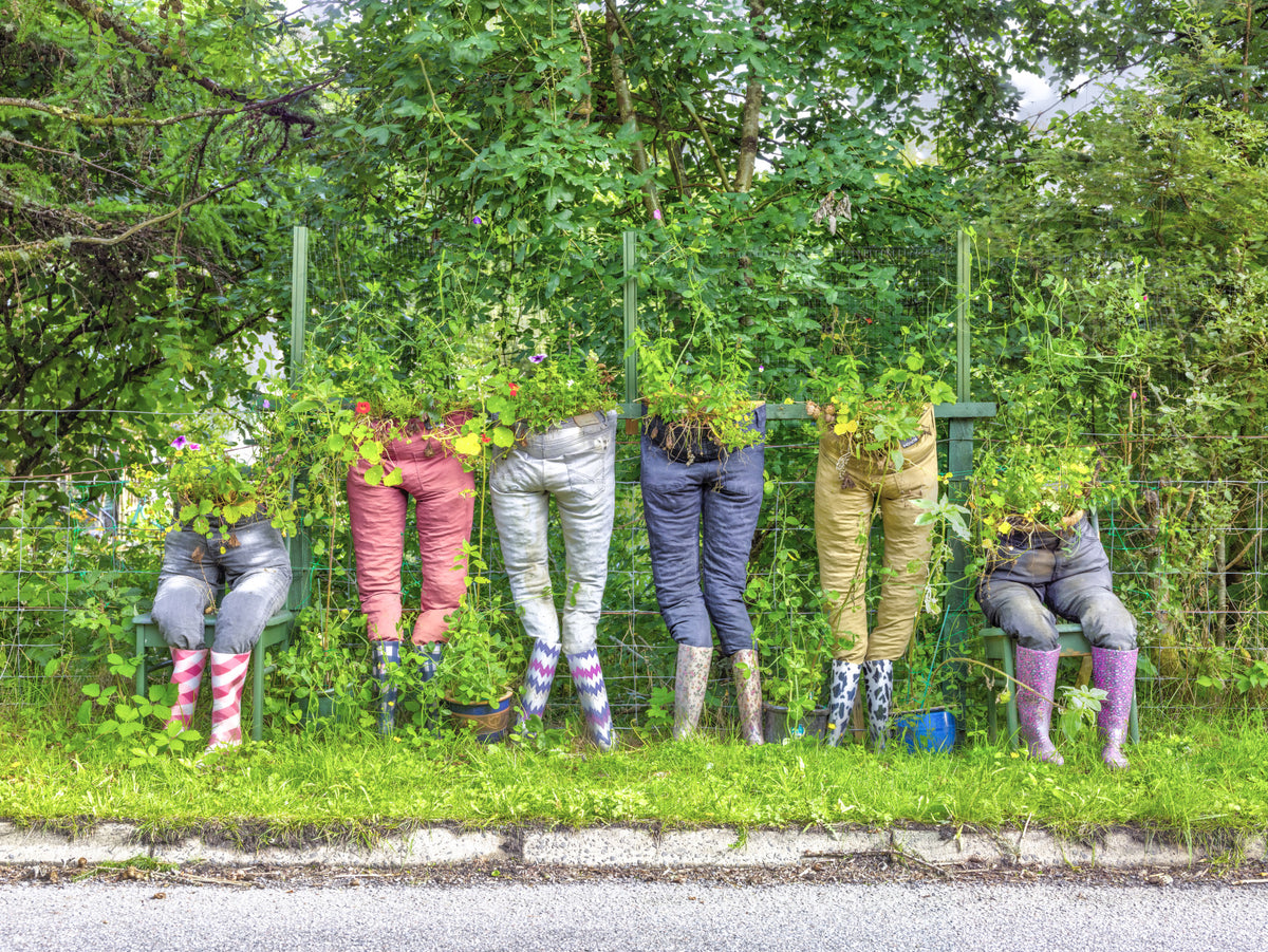 Garden Pants Wall Mural in your room — zoomed