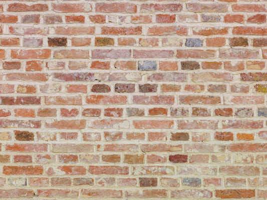 Timeless Brick Wall Mural