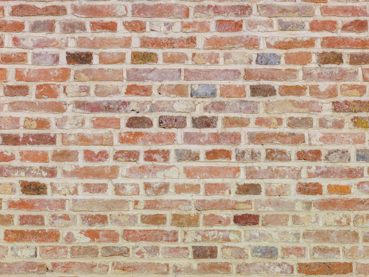 Timeless Brick Wall Mural in your room