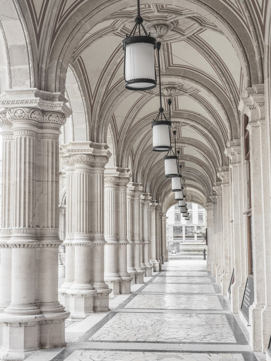 Vienna Opera House Wall Mural