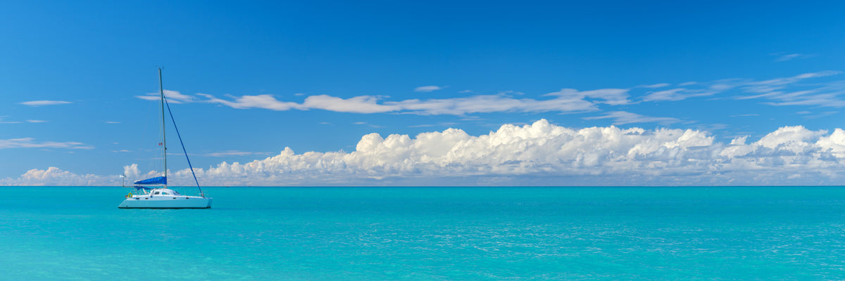 Seaside Dreams Wall Mural in your room — zoomed