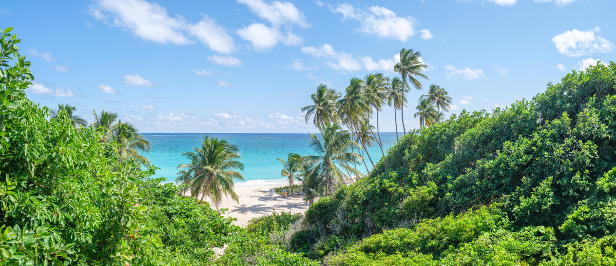 Tropical Beach Bliss Wall Mural in your room — zoomed
