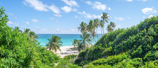 Tropical Beach Bliss Wall Mural