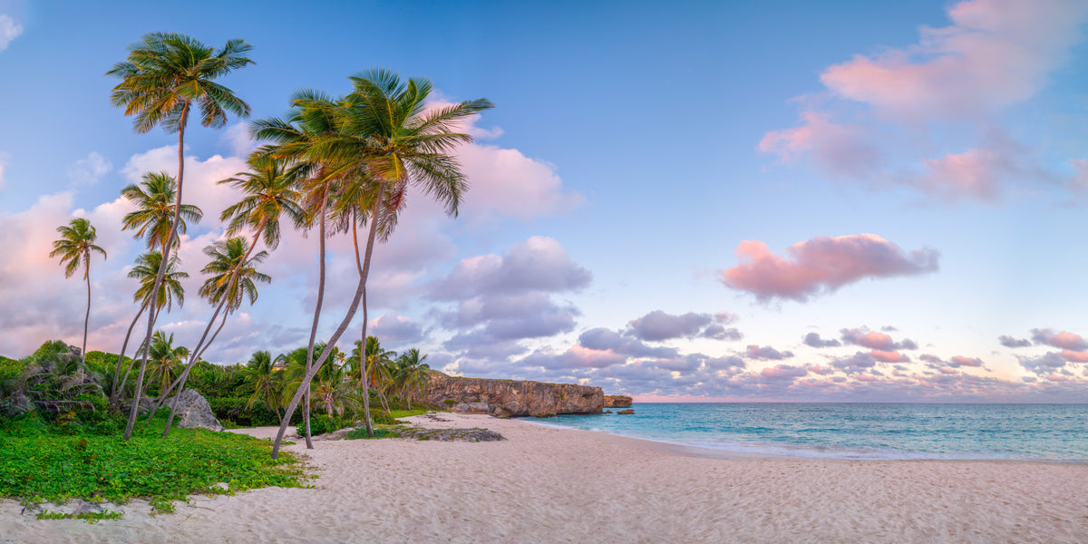 Serene Tropical Evening Wall Mural in your room — zoomed