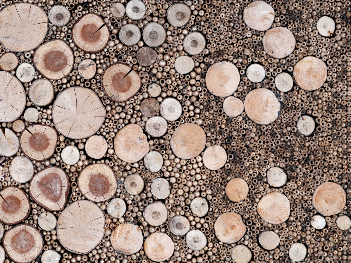 Circular Wood Array Wall Mural in your room — zoomed