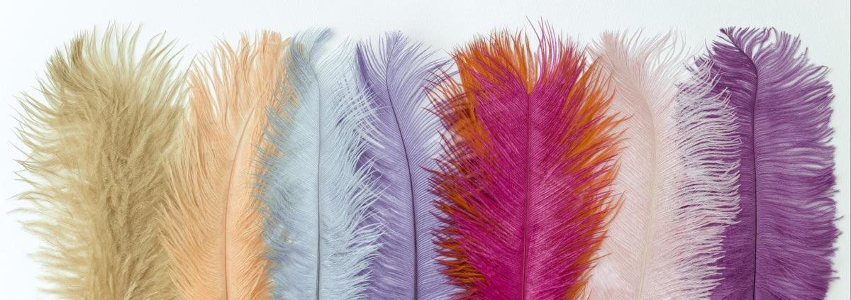 Feathers of Pastel Wall Mural