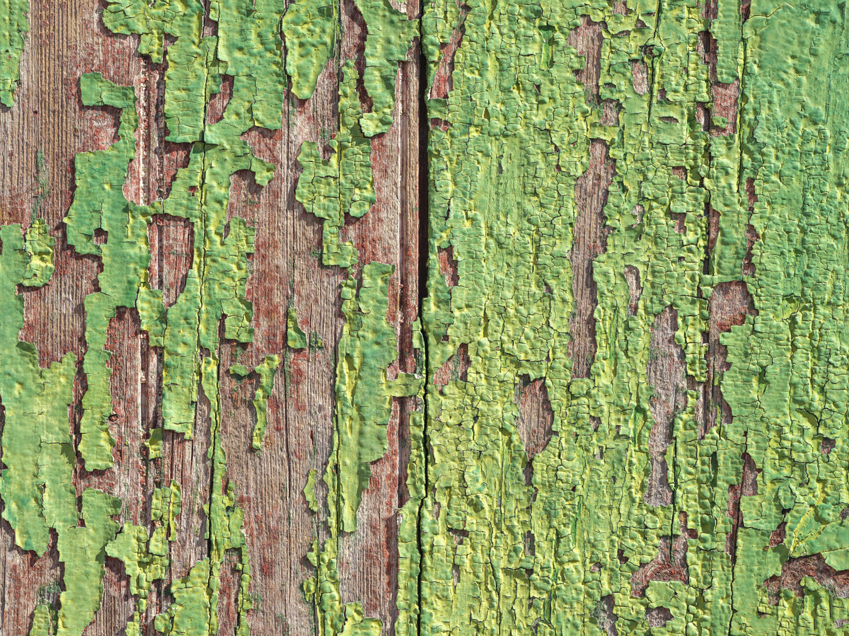 Antique Green Timber Wall Mural in your room — zoomed