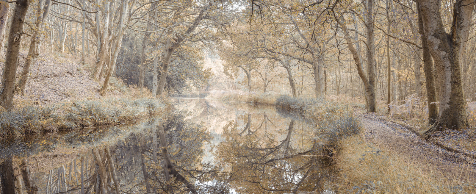 Autumn Canal Wall Mural