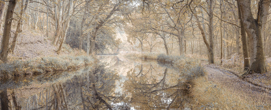 Autumn Canal Wall Mural
