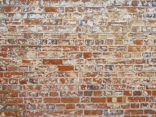 Weathered Brick Charm Wall Mural