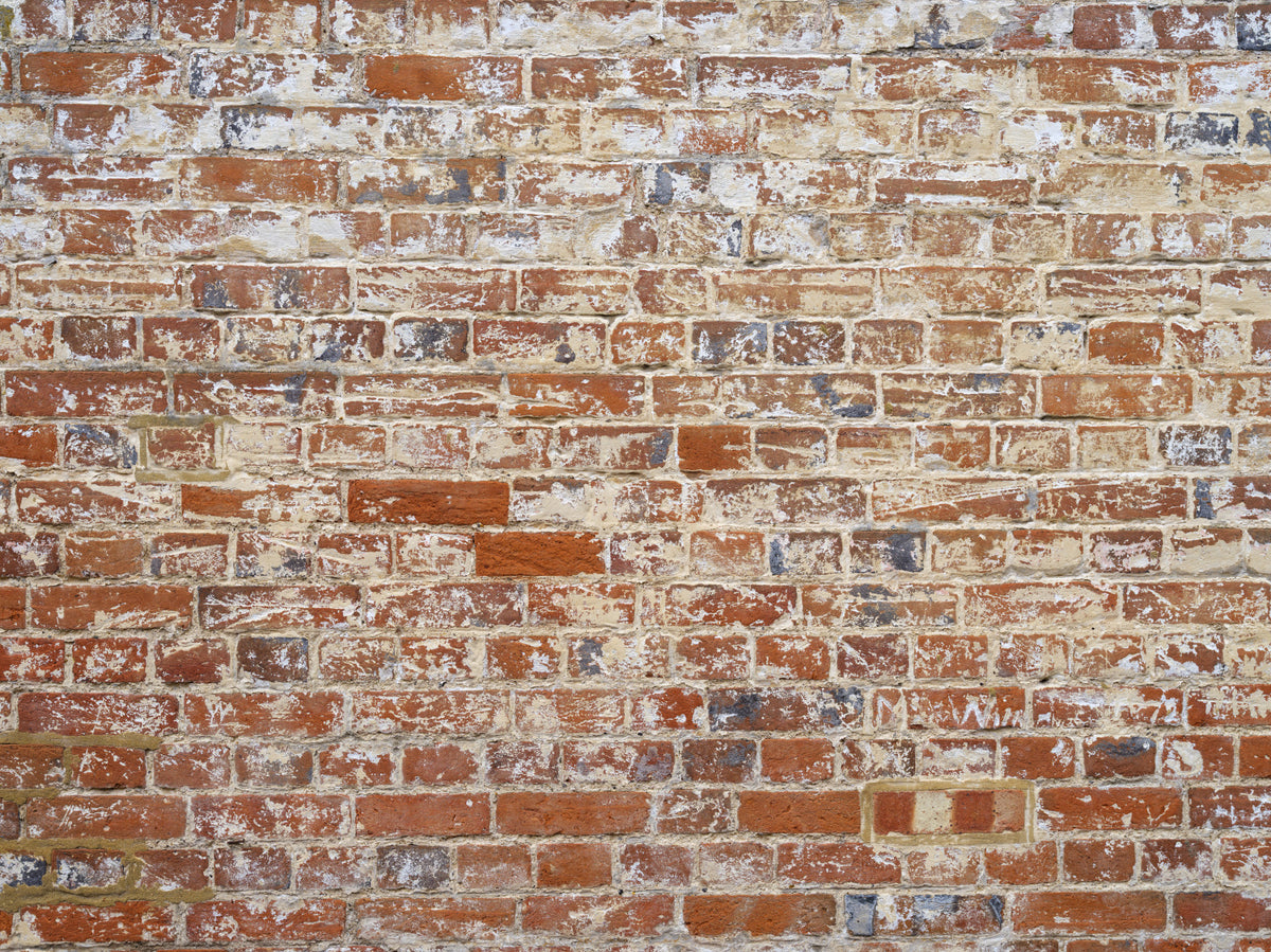 Weathered Brick Charm Wall Mural in your room