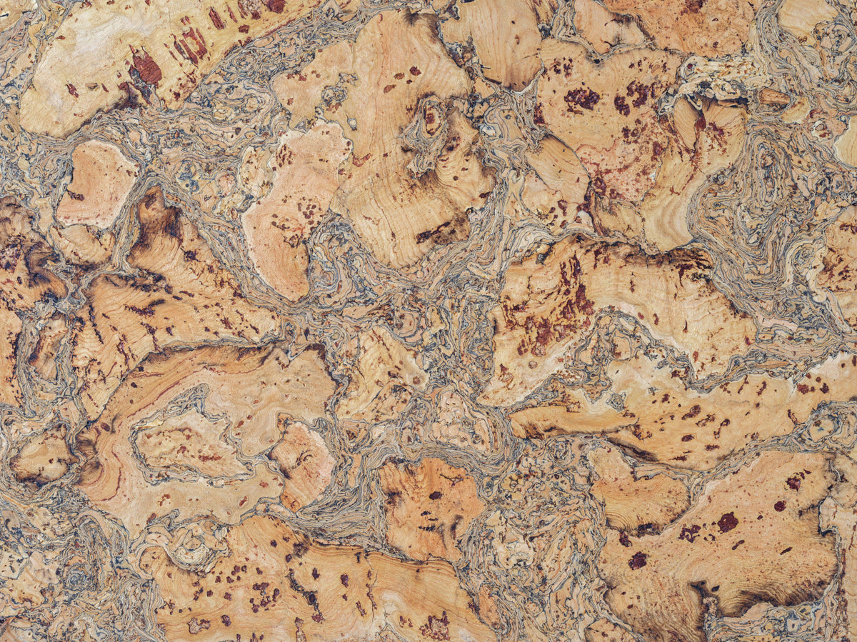 Cork Canvas Wall Mural in your room