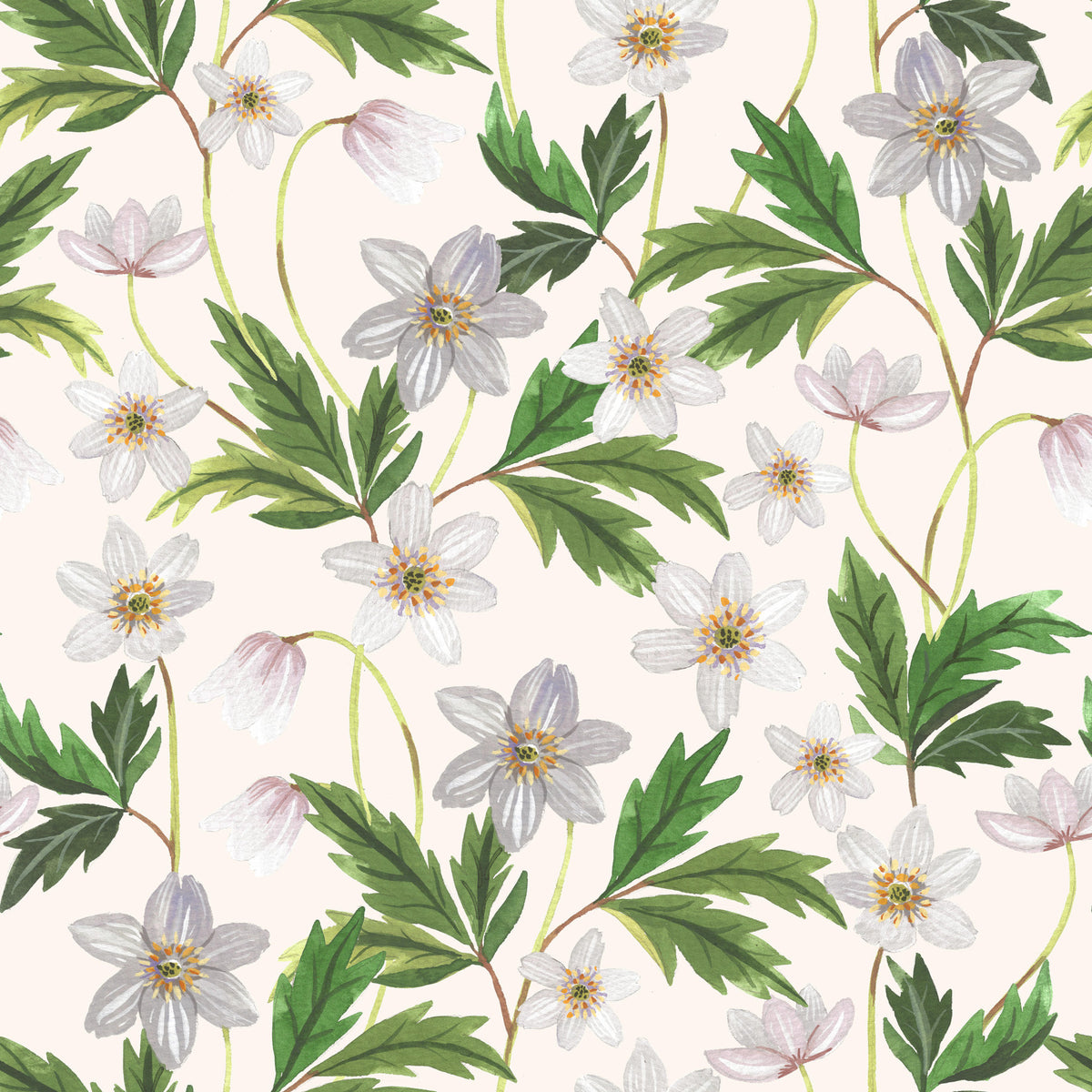 Wood Anemone on White Wallpaper⁠ in your room