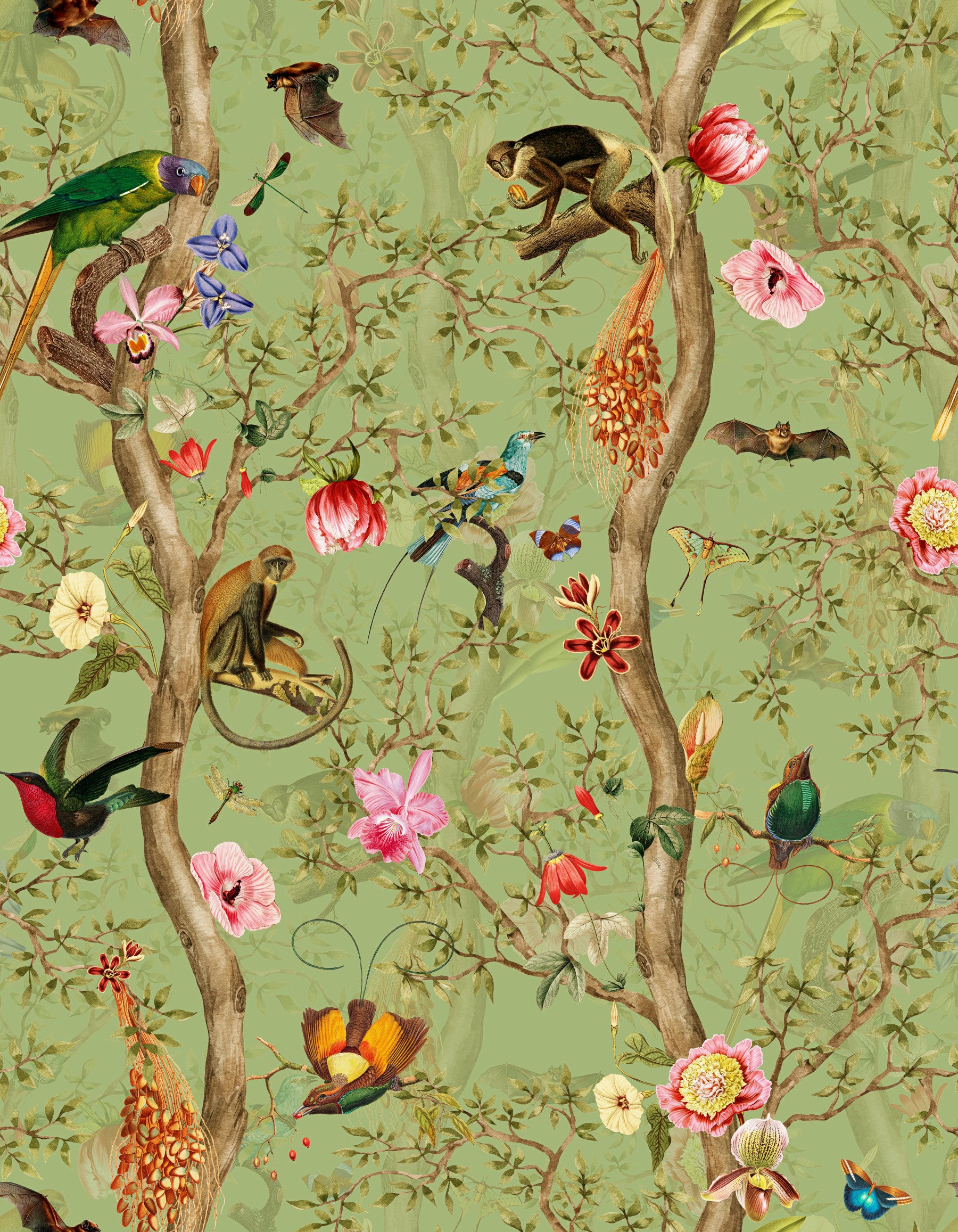 Tropical Paradise Birds 4 ⁠ Wallpaper⁠ in your room — zoomed