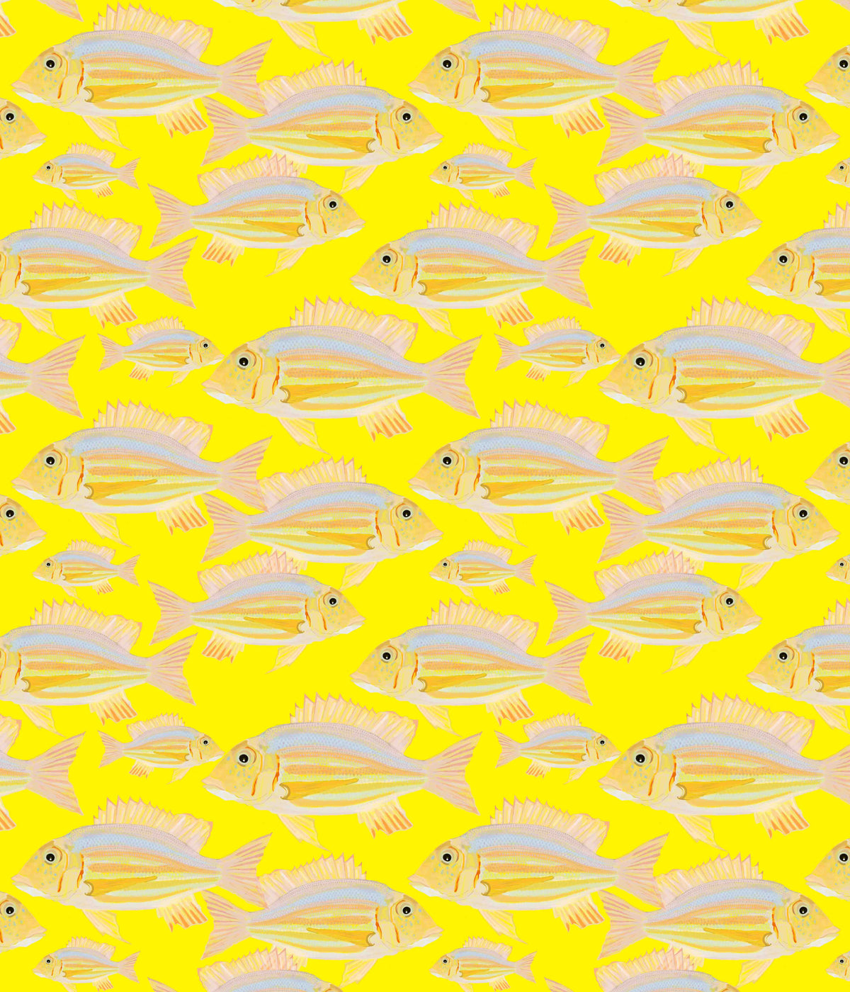 Fish Wallpaper⁠