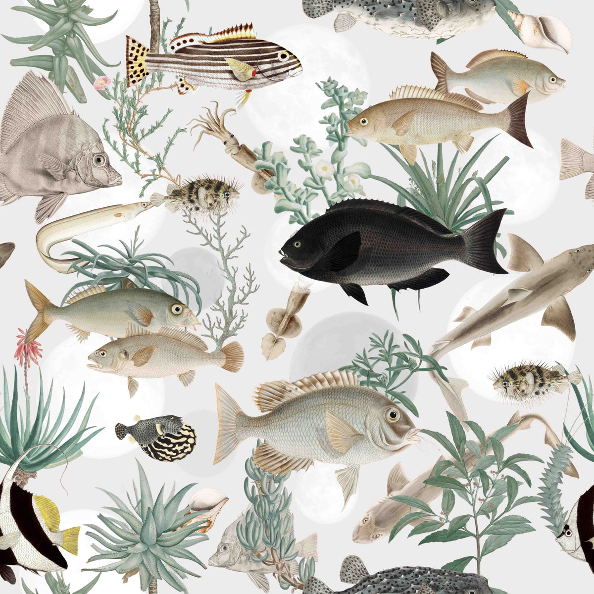 Oceania Wallpaper⁠ in your room