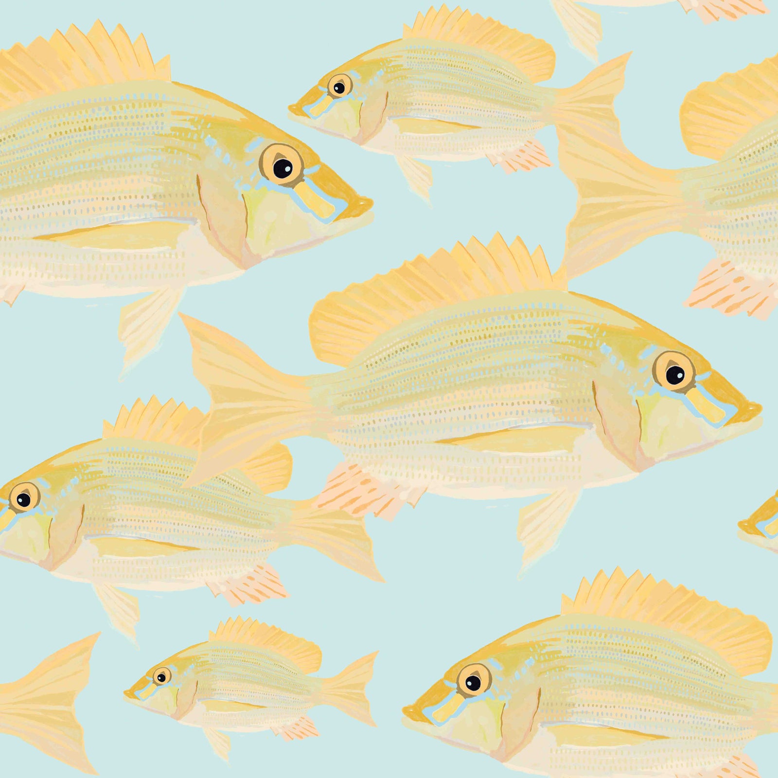 Sand Bream - The Fish 6  Wallpaper⁠ in your room