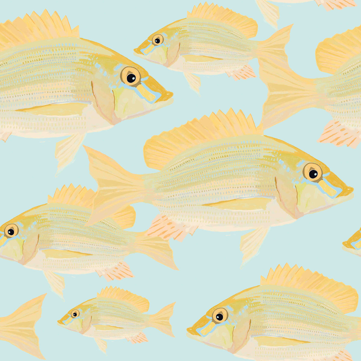 Sand Bream - The Fish 6  Wallpaper⁠ in your room — zoomed