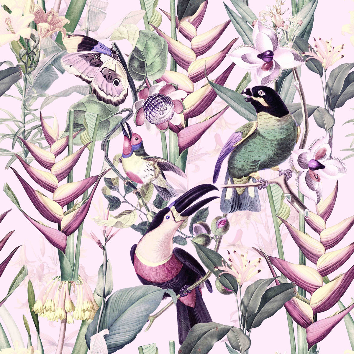 Welcome Jungle  Wallpaper⁠ in your room