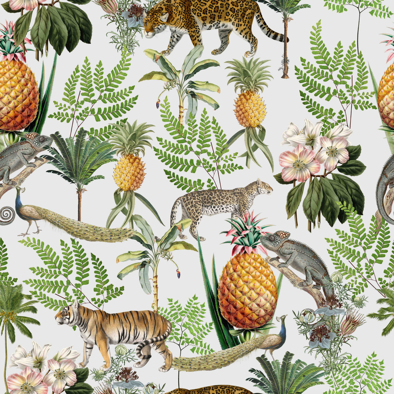 Wild Savana Wallpaper⁠