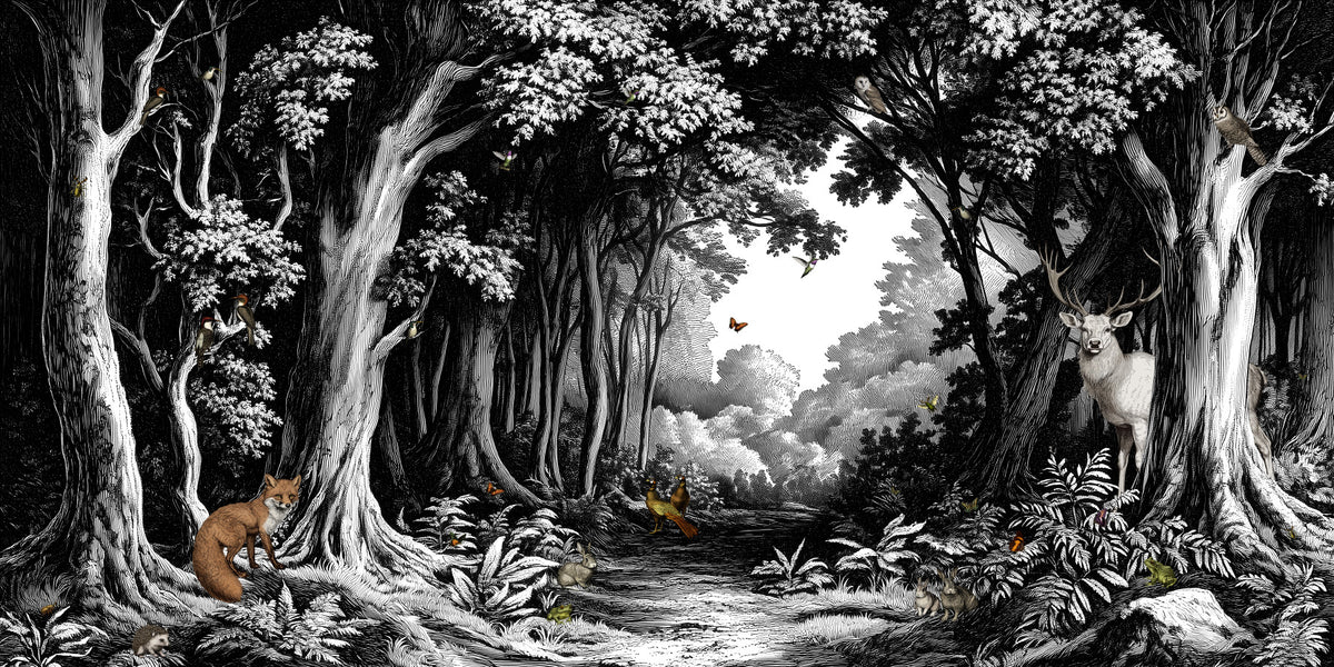Into the Forest - Black & White Wall Mural in your room