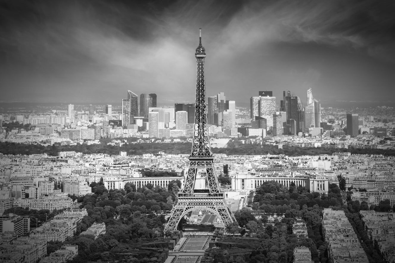 View from Montparnasse Tower Observation Deck Wall Mural