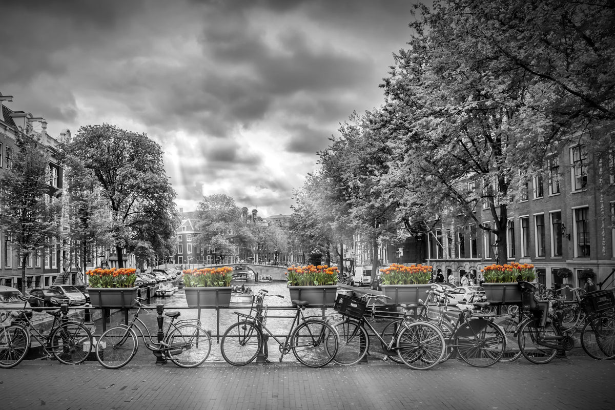 Herengracht Amsterdam Wall Mural in your room