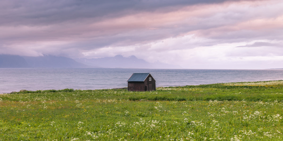 Coastal Meadow Dream Wall Mural in your room — zoomed