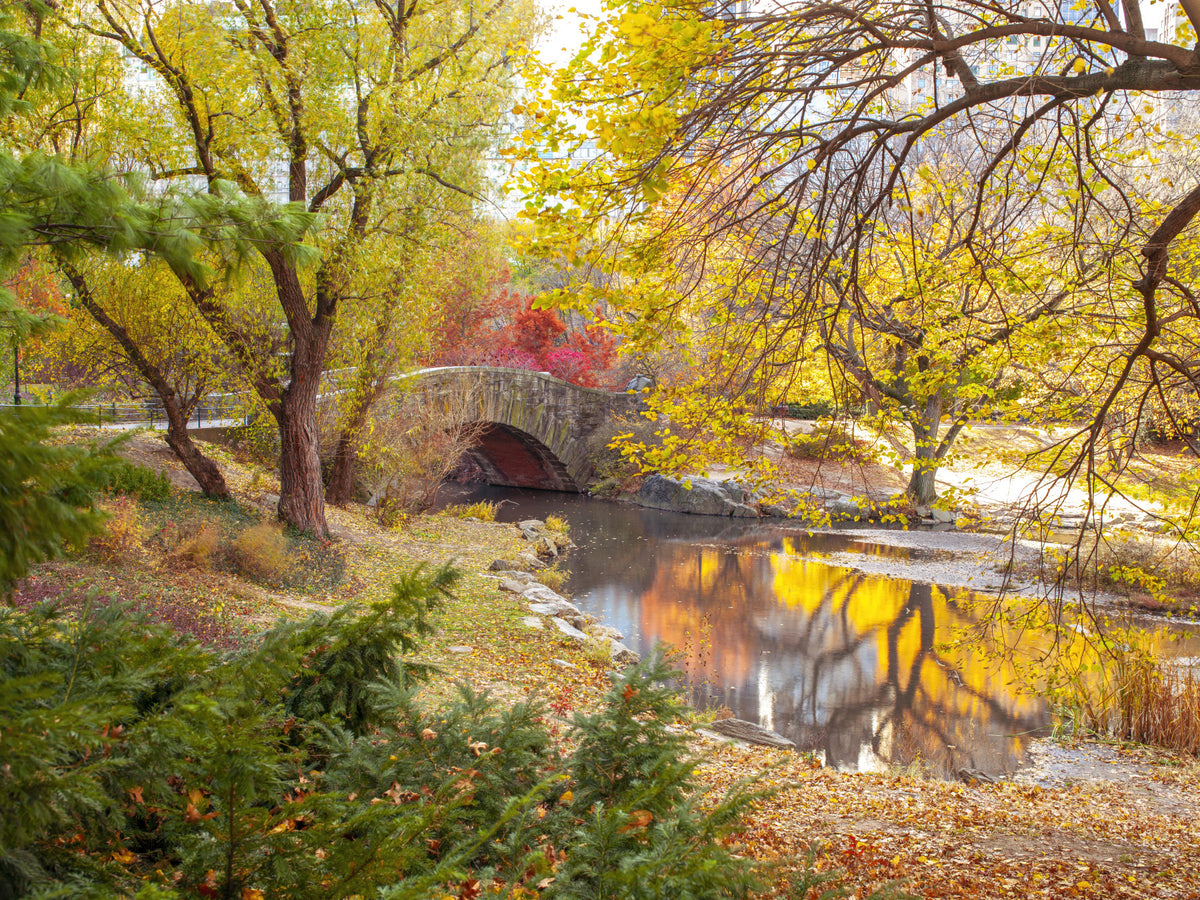 Autumnal Elegance Wall Mural in your room