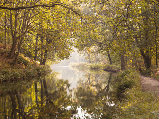 Basingstoke canal Wall Mural