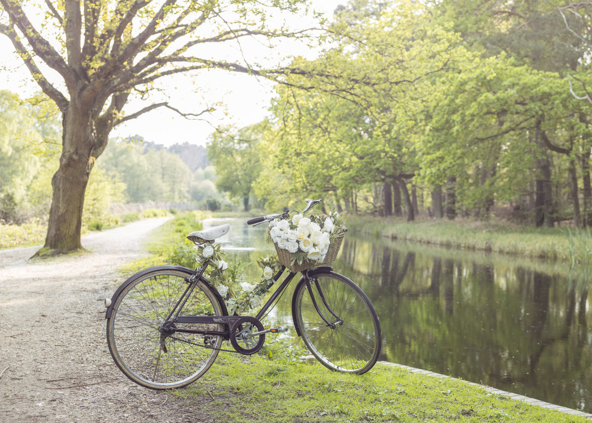Bicycle by the Canal Wall Mural in your room — zoomed