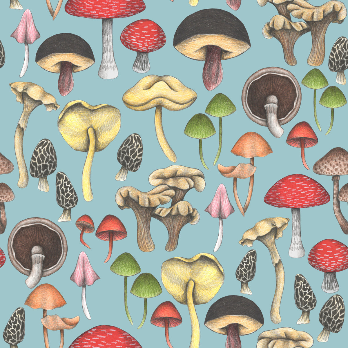 Wild Mushrooms Fantasy Wallpaper⁠ in your room — zoomed