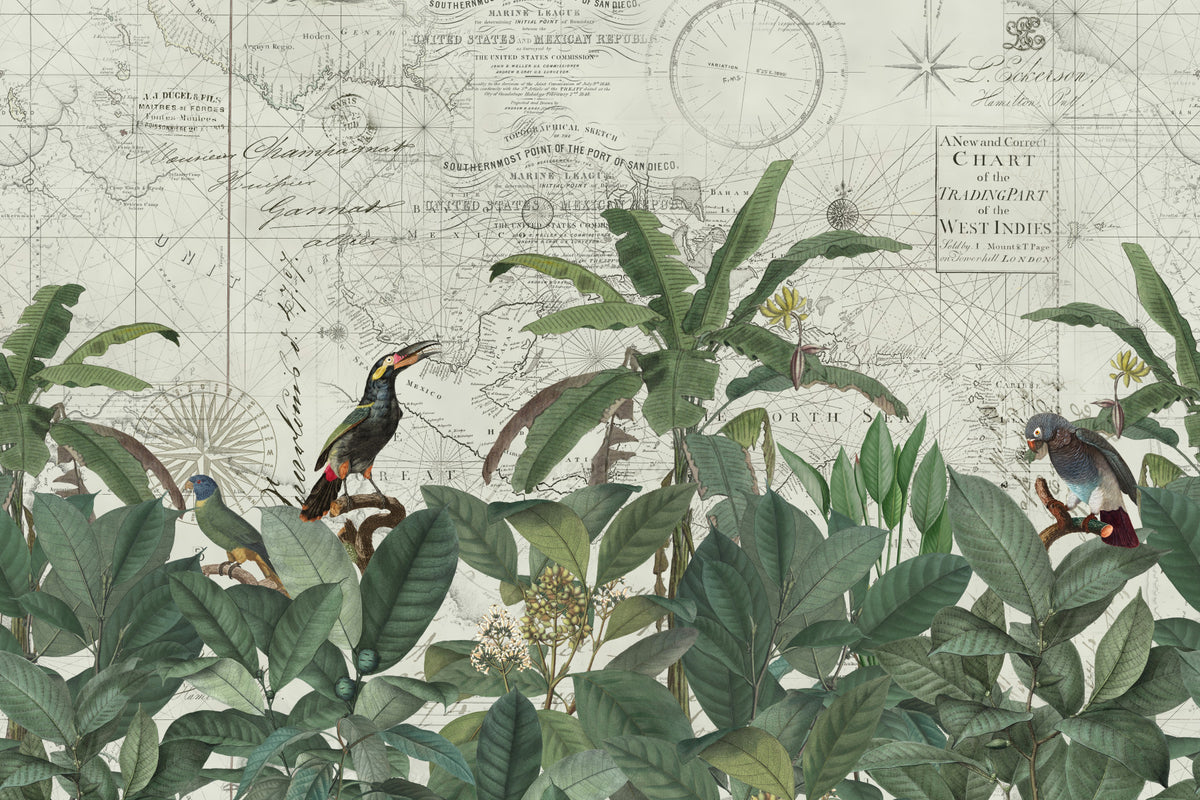 Discover The Tropical Vintage World Wall Mural in your room