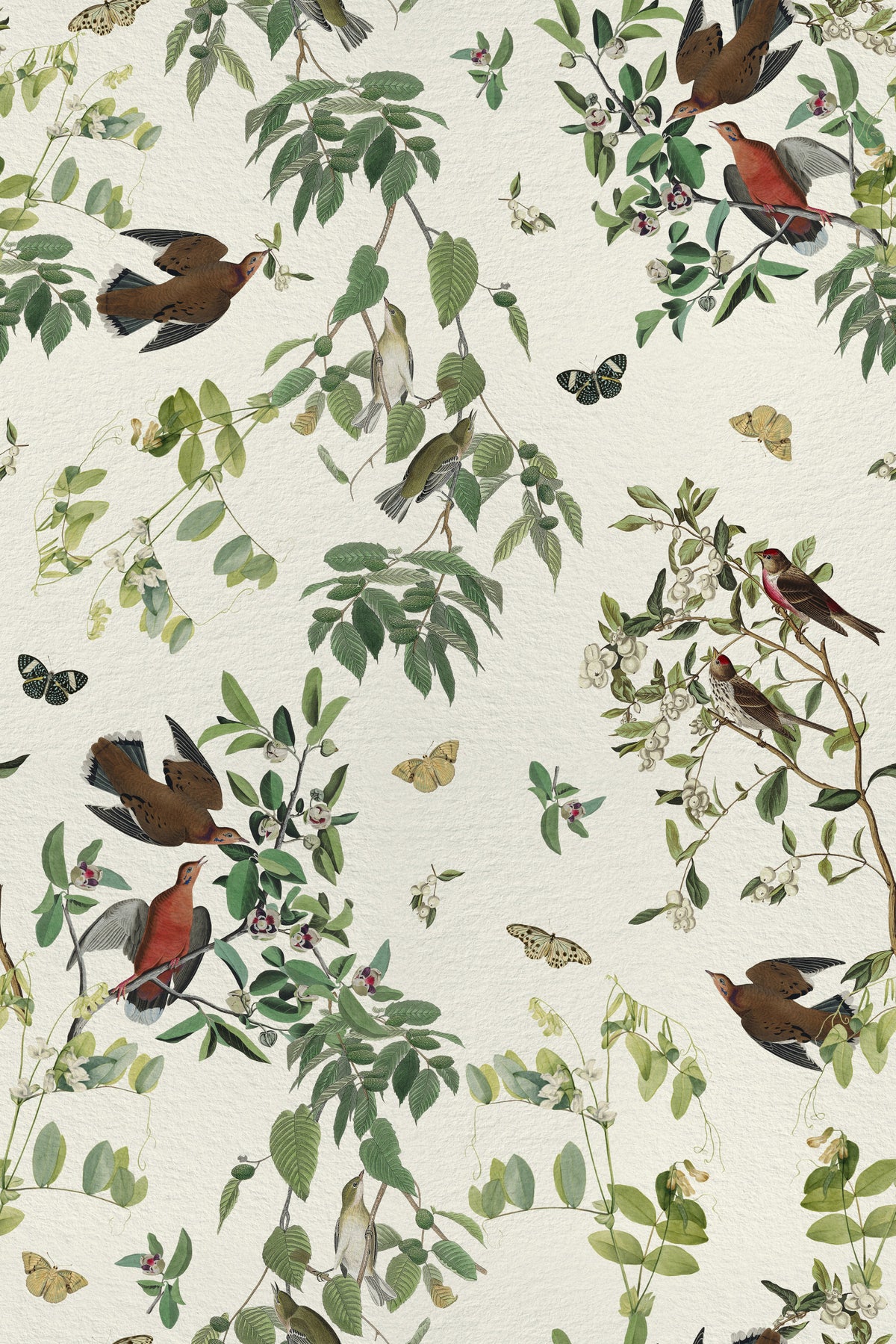 Birds and Butterflies Branch Olive Green Wallpaper⁠ in your room — zoomed