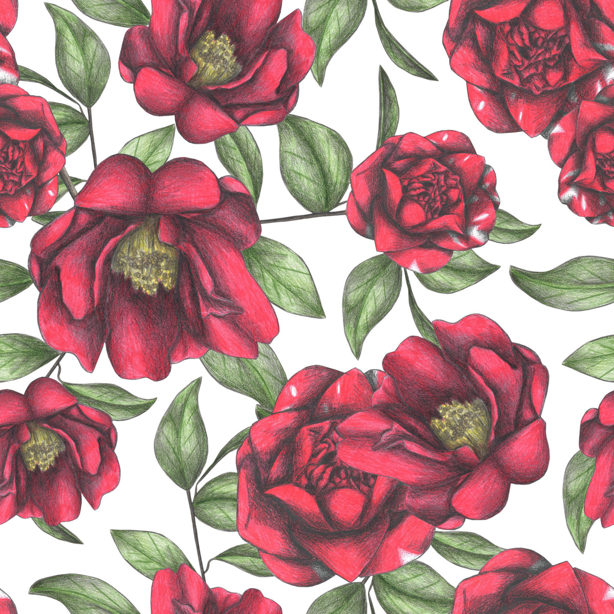 Blooming Camellias Wallpaper⁠ in your room