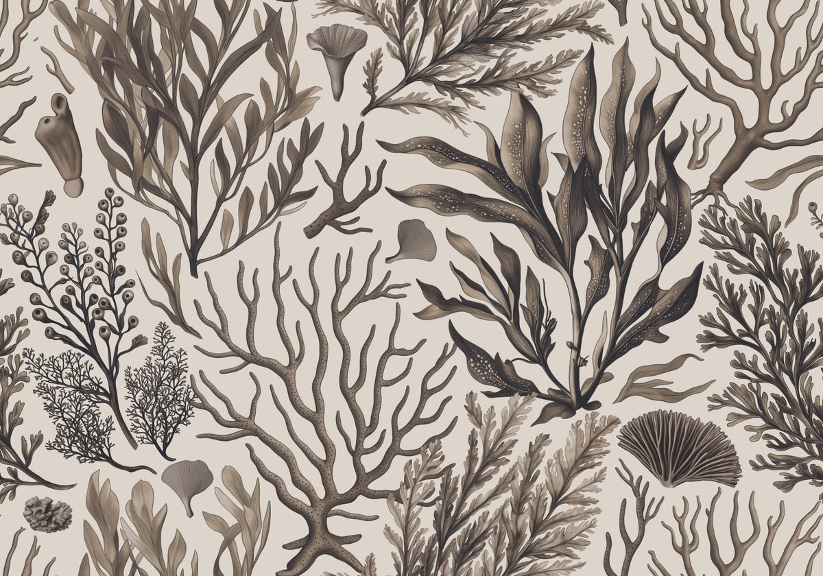 Mystical Ocean Underwater Foliage Garden Monochrome Beige Wallpaper⁠ in your room — zoomed