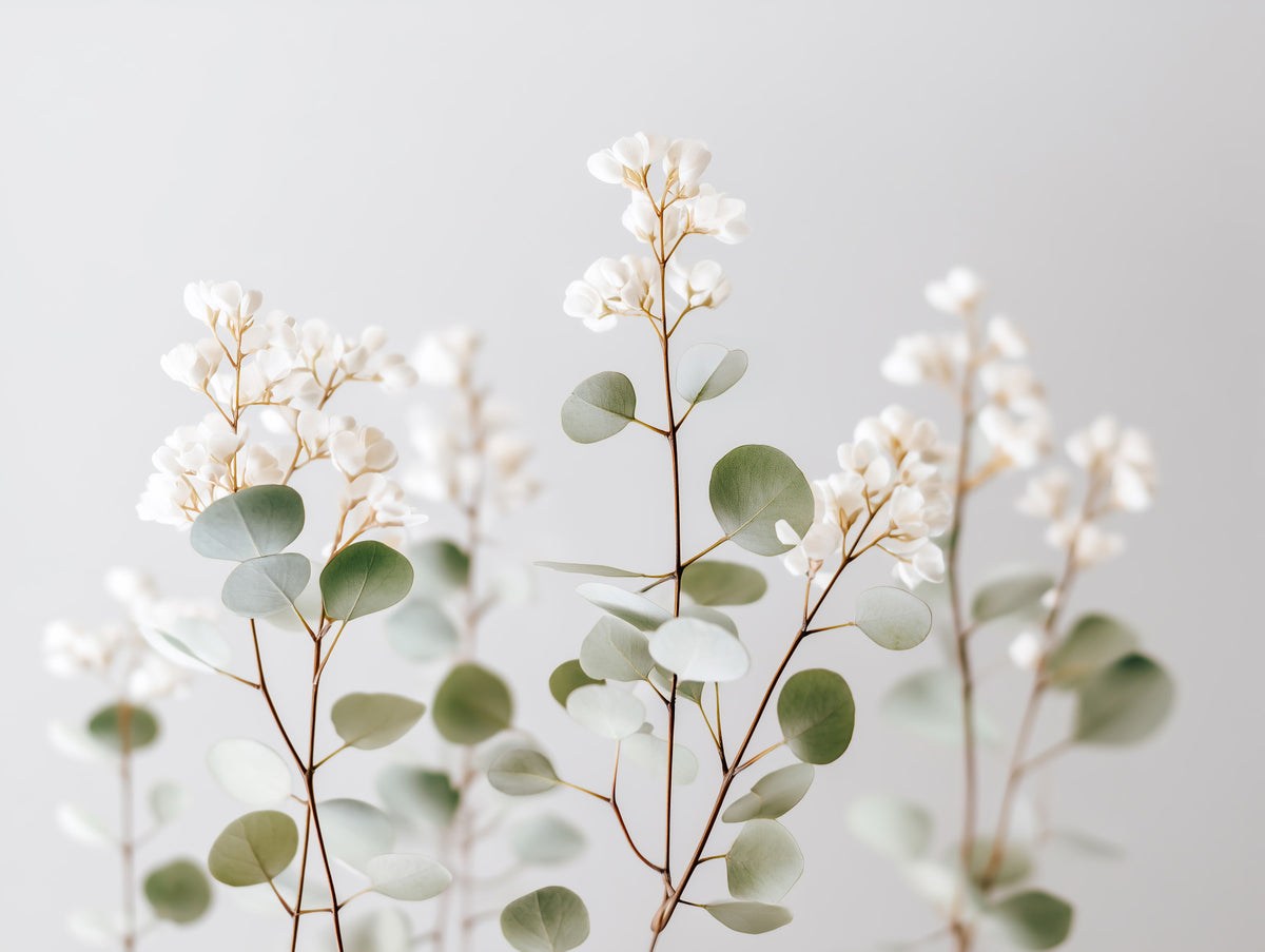 Whispering White Florals Wall Mural