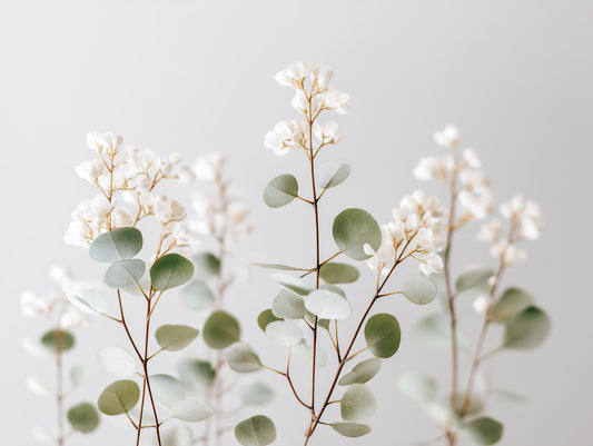 Whispering White Florals Wall Mural