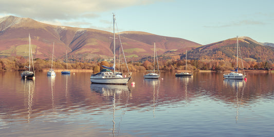 Sail Boats in Lake Wall Mural