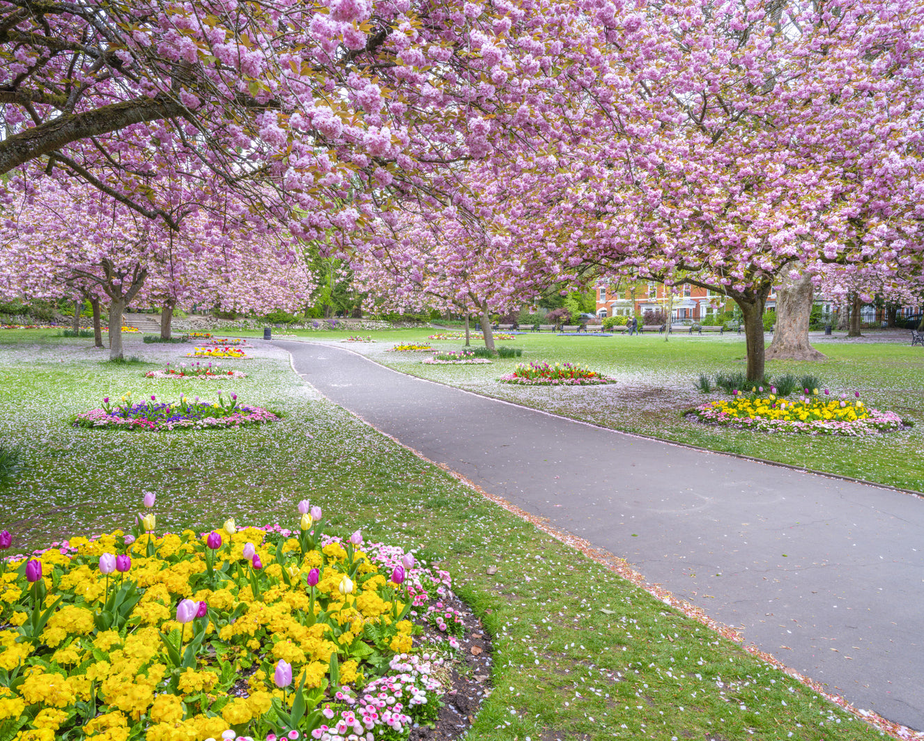 Park Prettiness Wall Mural
