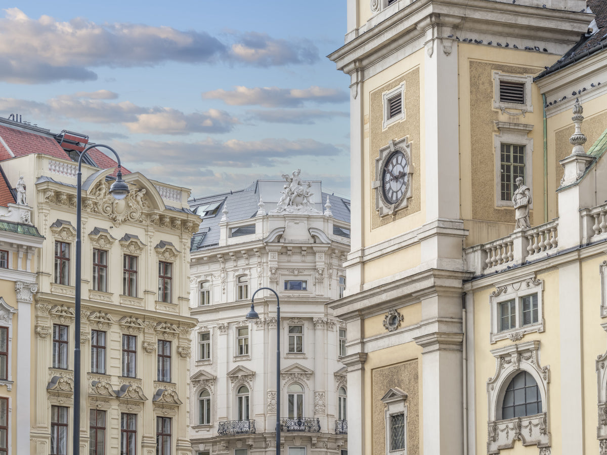 Vienna's Historic Architecture Wall Mural in your room