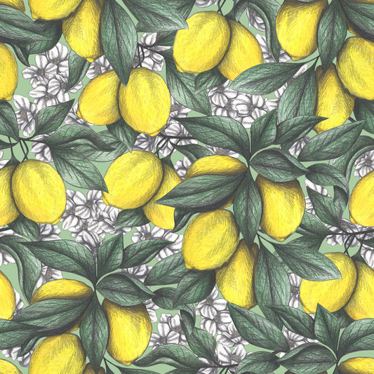Under the Lemon Tree Wallpaper⁠