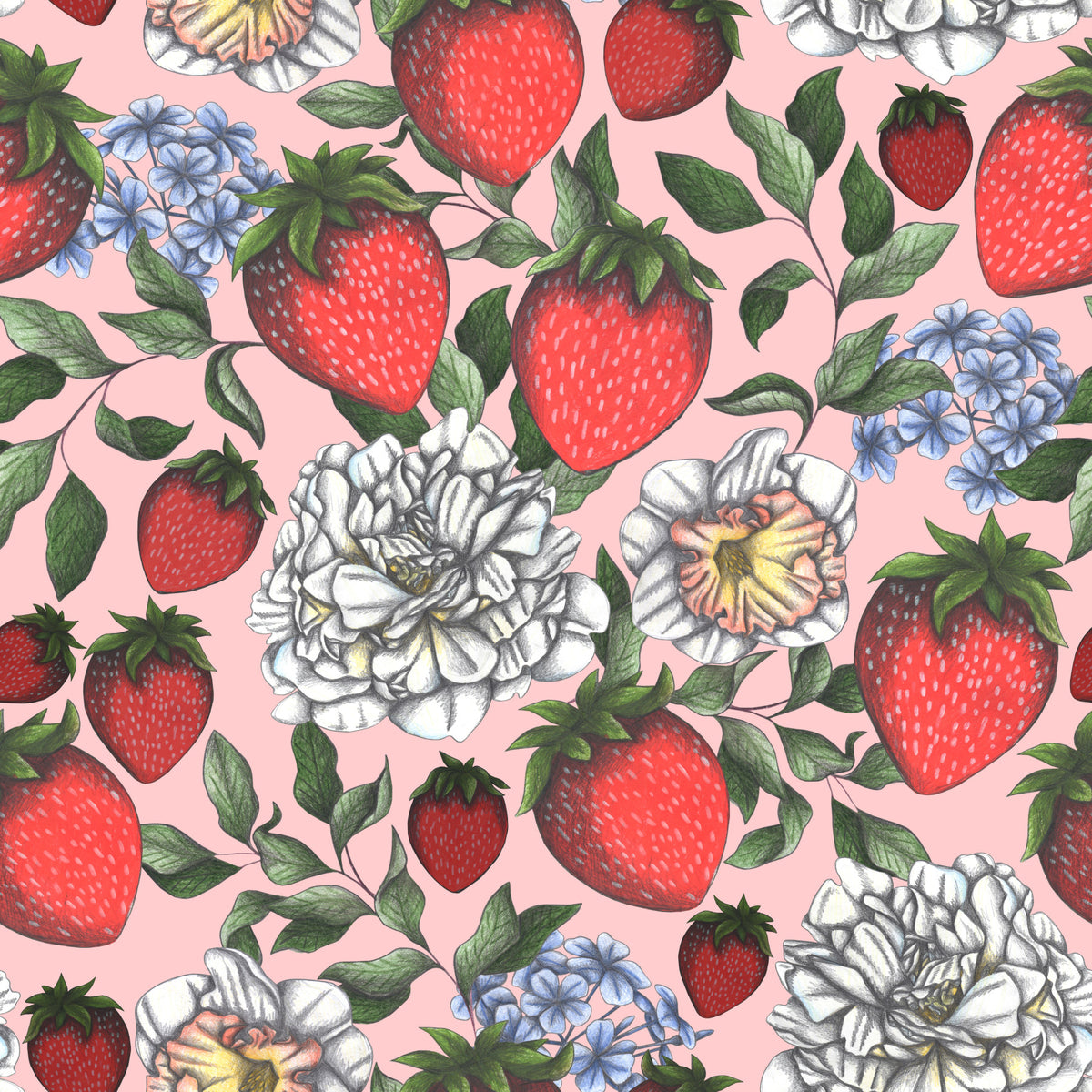Strawberry Season Wallpaper⁠